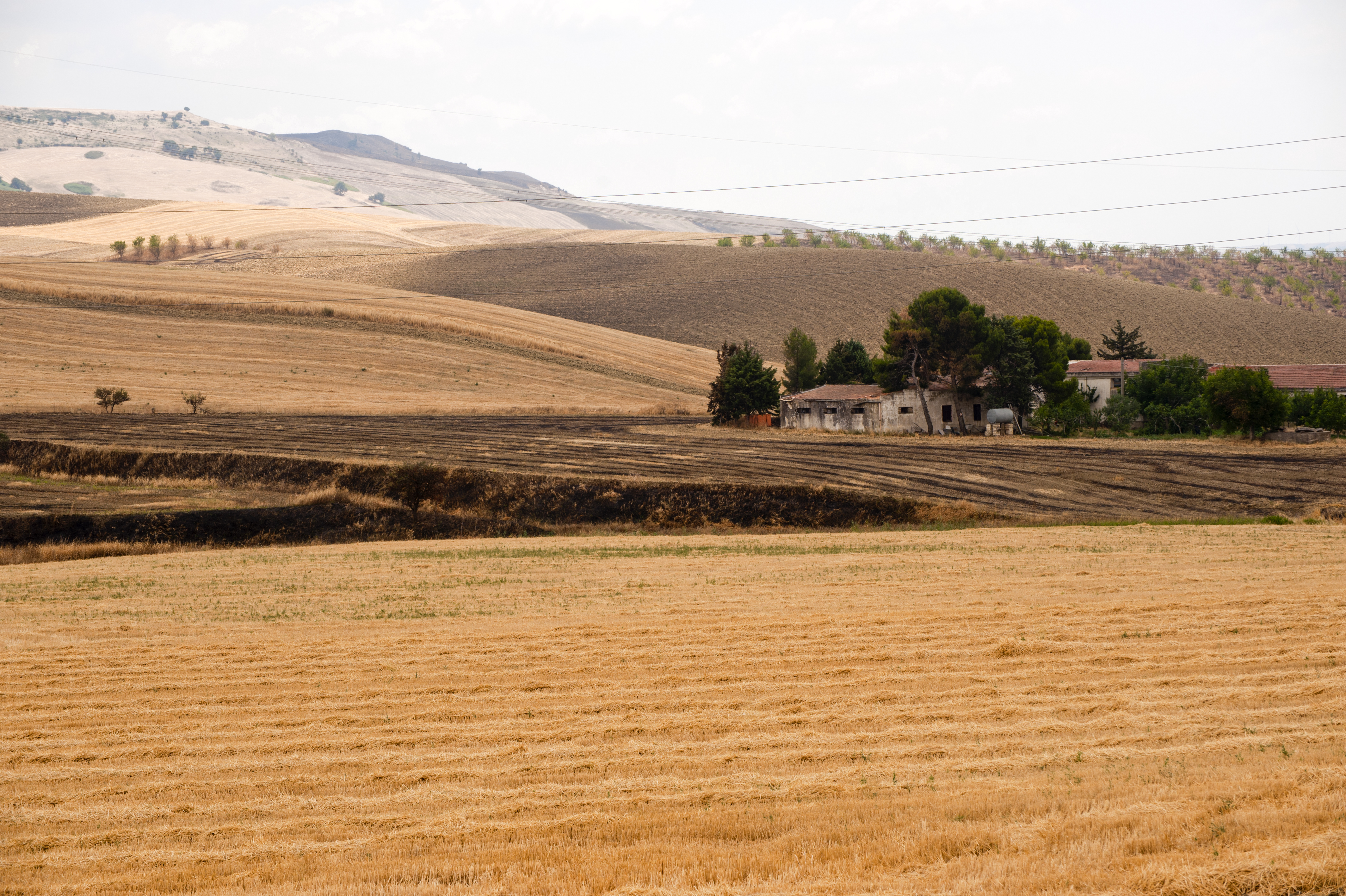 Between Puglia and Basilicata (Italy): Country landscape at summ